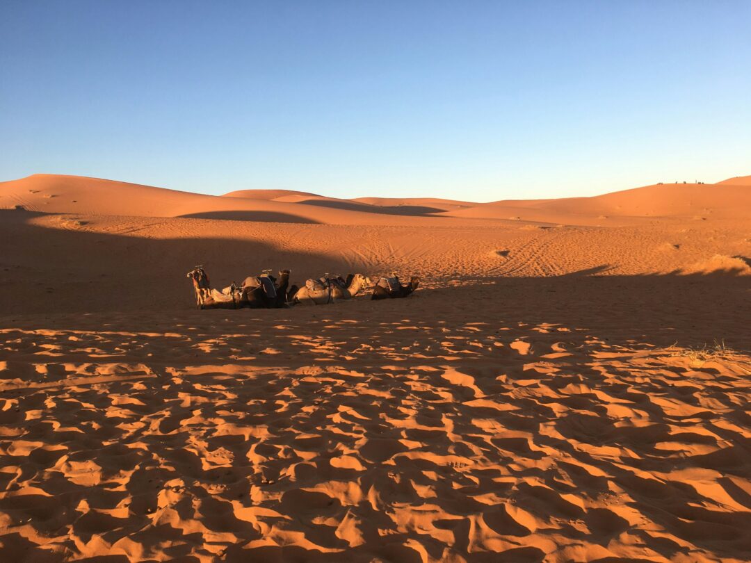 8-Day Morocco Tour From Casablanca to Imperial Cities and the Sahara