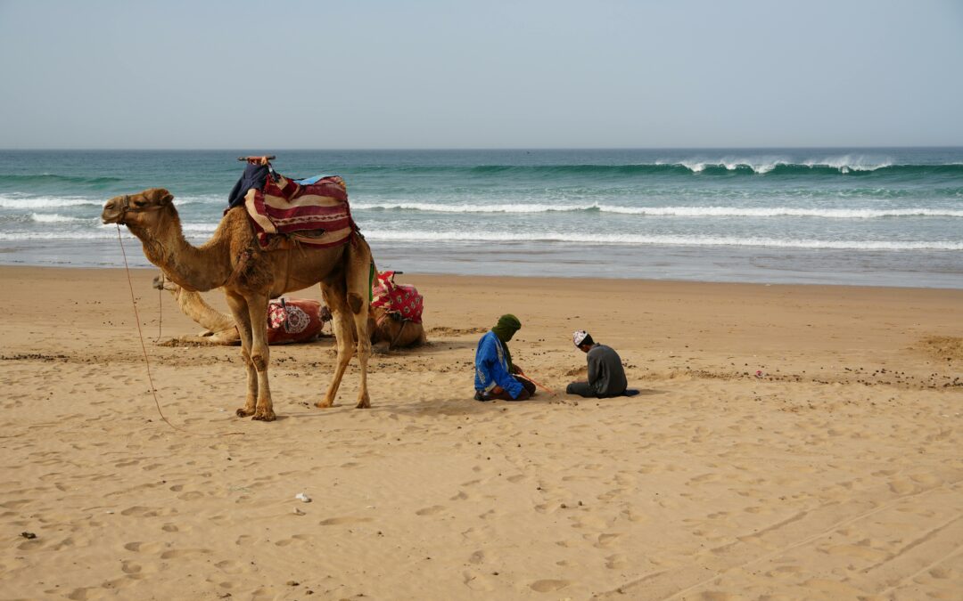 5-Day Trip from Agadir to the Sahara Desert