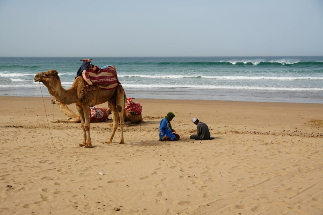 5-Day Trip from Agadir to the Sahara Desert