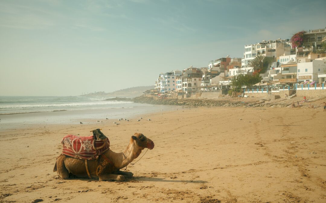 6-Day Adventure from Agadir to Erg Chegaga