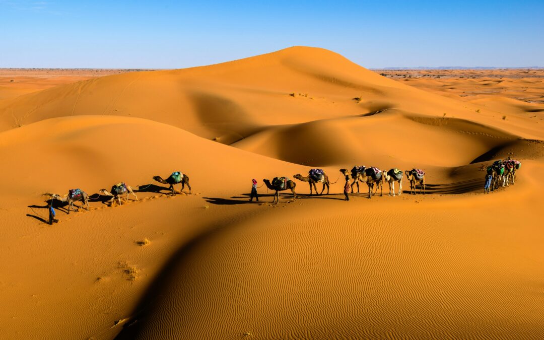 Marrakech to Sahara: Everything They Don’t Tell You Before the Trip